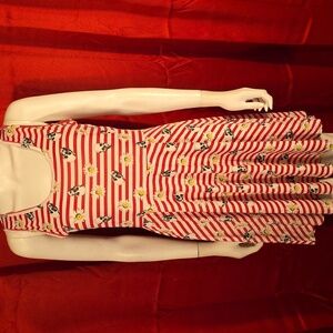 🌼Hot Topic Skull Daisy Stripe Skater Dress Medium